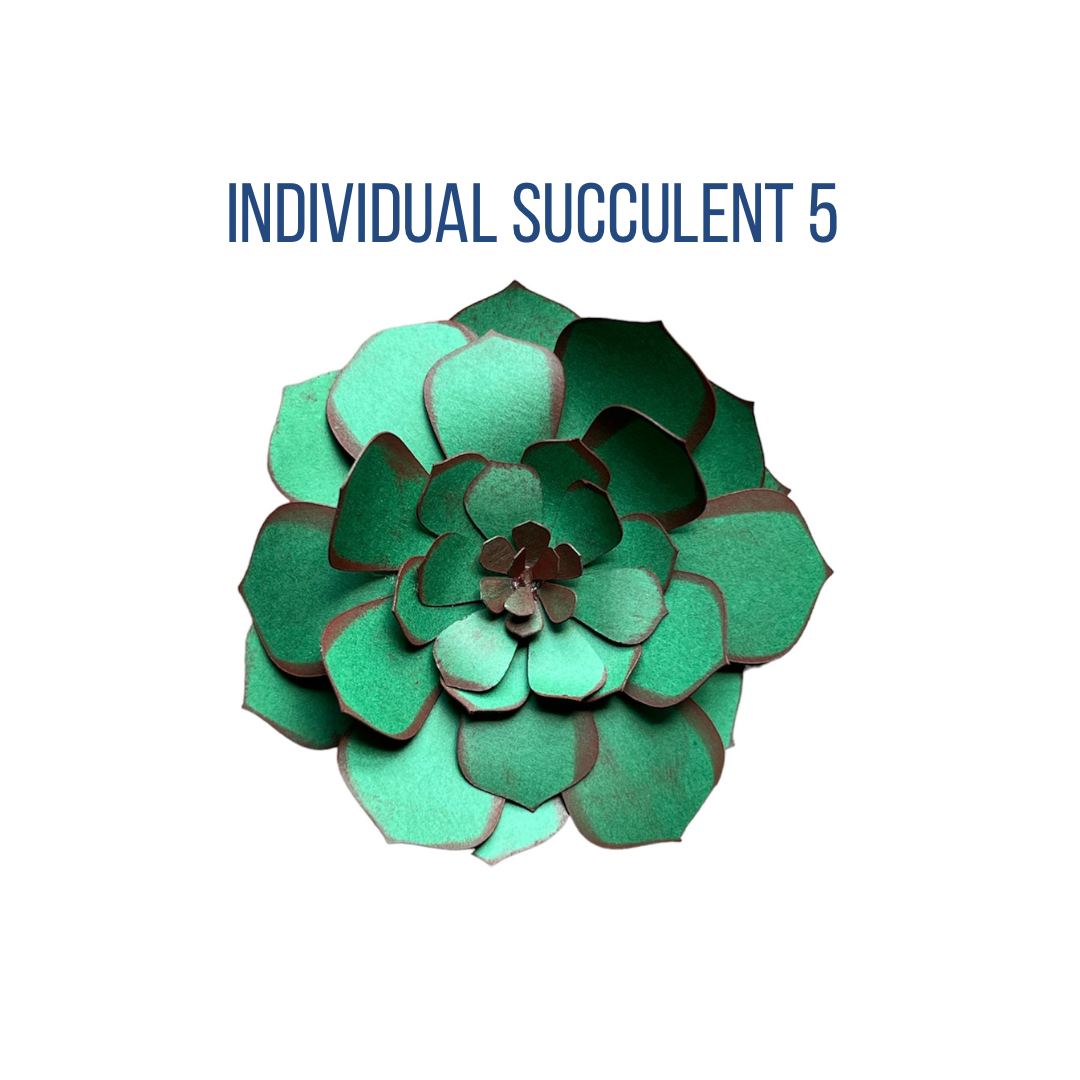 Individual Paper Succulents