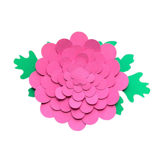 Individual Chrysanthemum Flower
